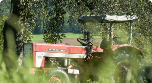 DSC3002LaVIta LallingerWinkl