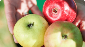 DSC3648LaVIta LallingerWinkl