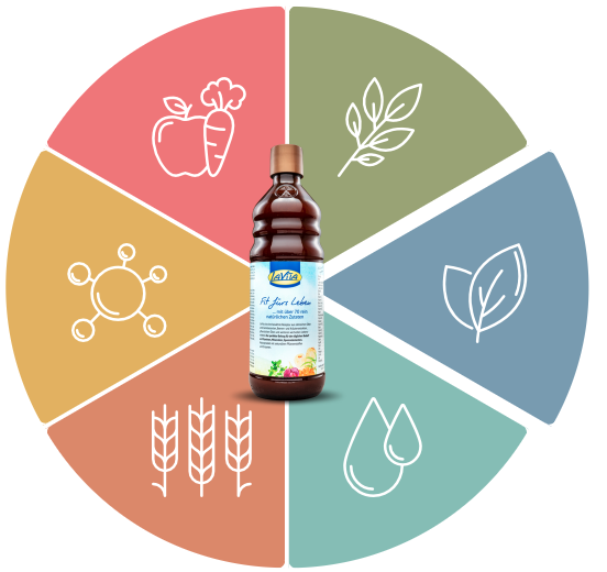 Enzimler, Amino Asitler, İkincil Bitkisel Maddeleri