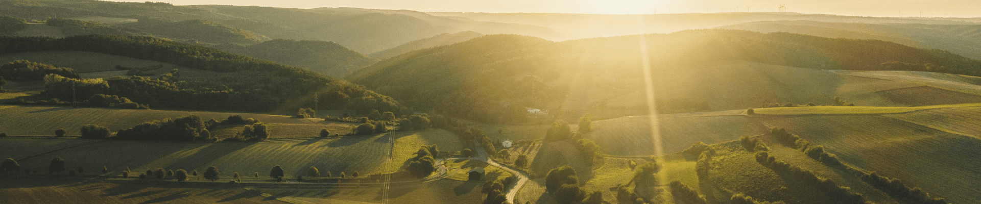 Tarlalar, orman ve tepelerden oluşan manzara