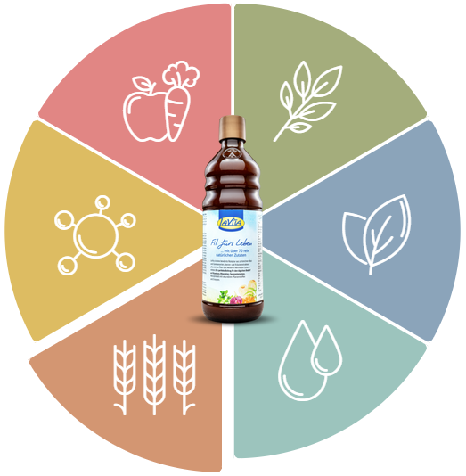 Ekşi Fermente Bitki Özü Suları, Lifler