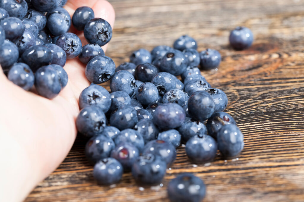 beslenme ve diyetetik shutterstock 1918571948